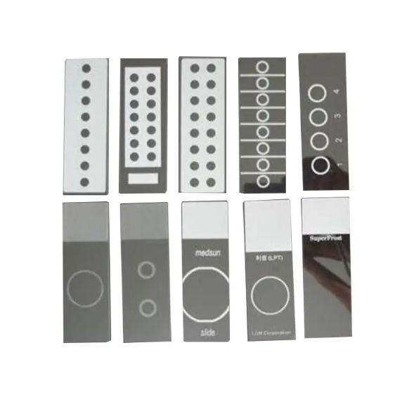 Microscope Slides With Circles